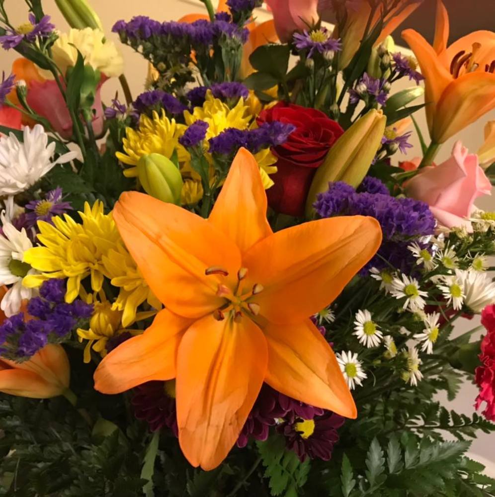 Meet your Posher, Sara